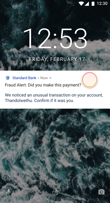 Get alerts for suspicious transactions | Standard Bank