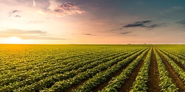 Nampo 2025 article image 3 size