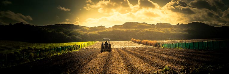 NAMPO Harvest  Image