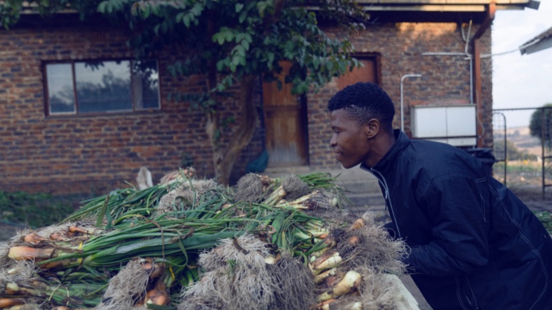 Gallery Iamge - 3 - AND08823