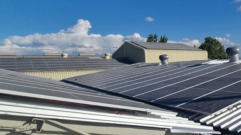 Edila Twaalf image 4