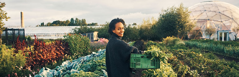Tri Toad Nursery's banner image