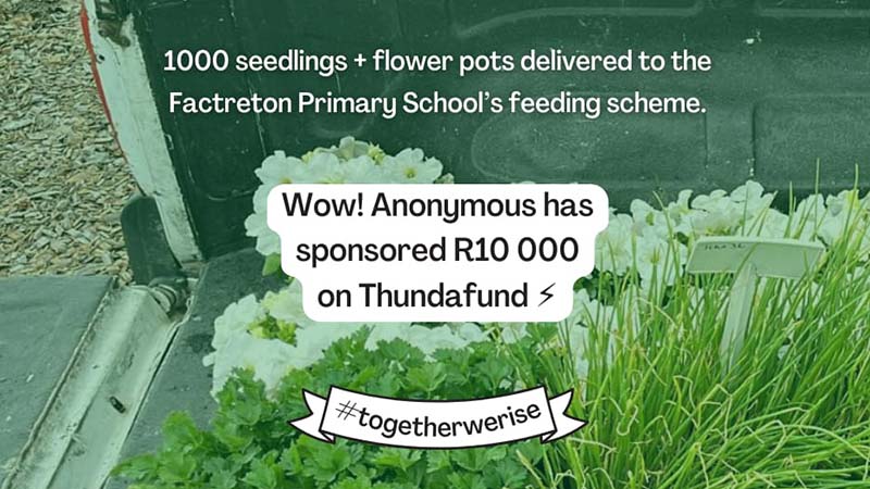 Gallery Image 4 - (Wow Sponsors -314400235) 