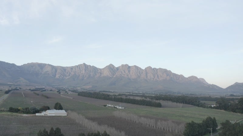 waboomsrivie_still_10-2 size