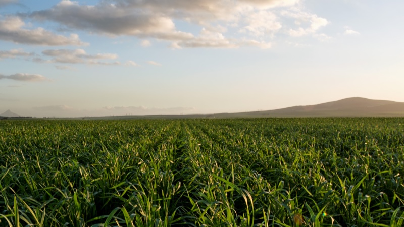 Nampo 2026 image