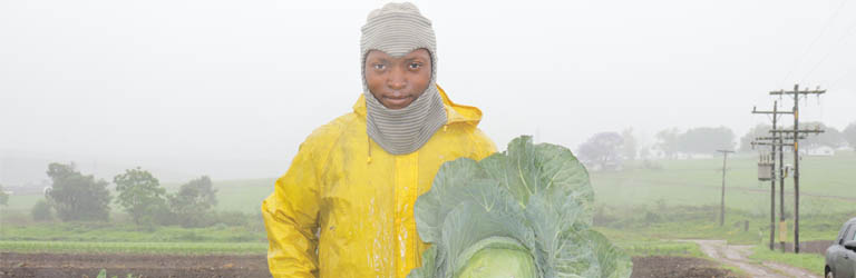 OneFarm Share platform image